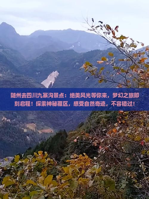 随州去四川九寨沟景点