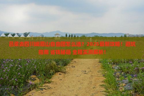 吕梁去四川峨眉山自由团
