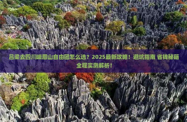 吕梁去四川峨眉山自由团