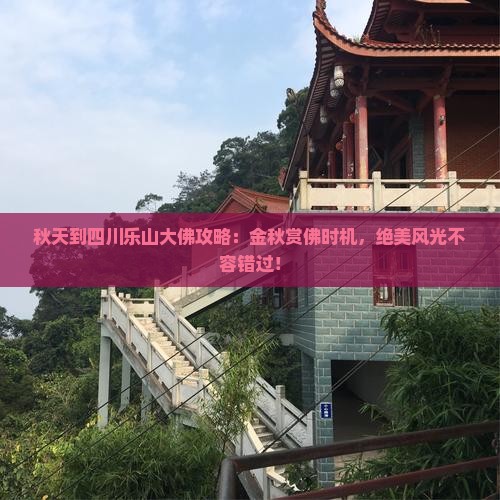 秋天到四川乐山大佛攻略
