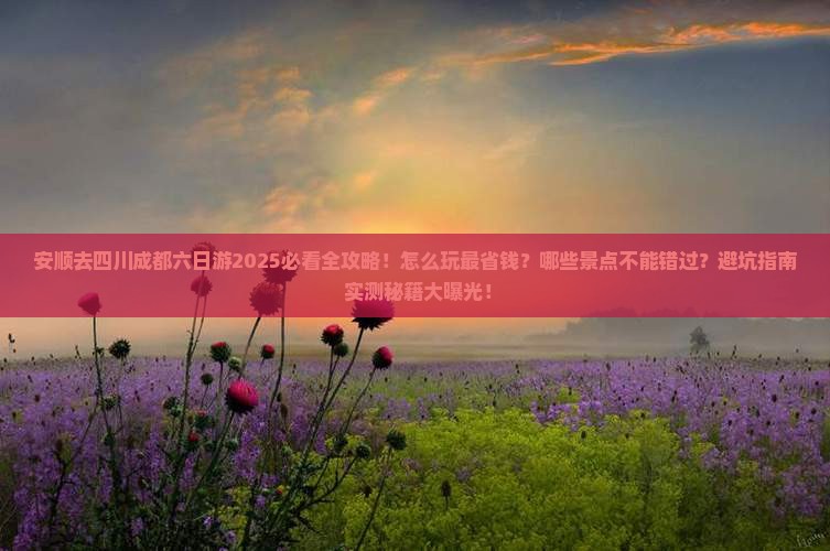 安顺去四川成都六日游
