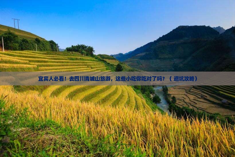 宜宾去四川青城山旅游小吃