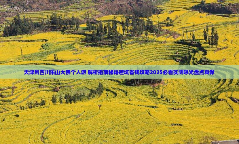 天津到四川乐山大佛个人游 天津到四川乐山大佛个人游