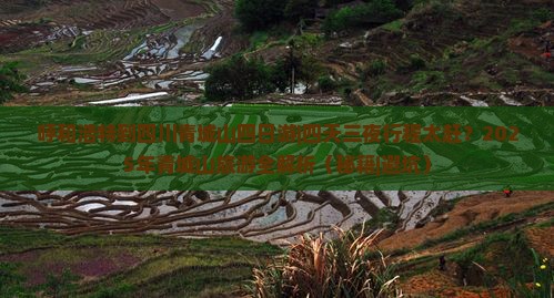 呼和浩特到四川青城山四日游