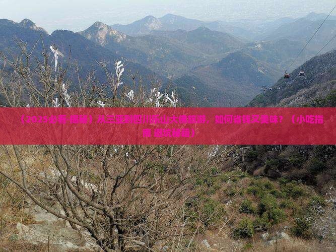 三亚到四川乐山大佛旅游小吃