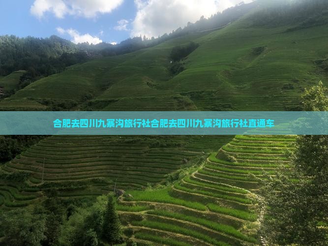 合肥去四川九寨沟旅行社