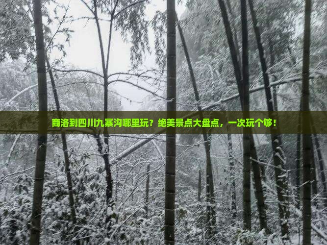 商洛到四川九寨沟哪里玩