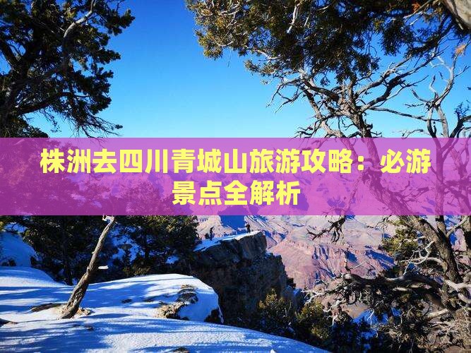 株洲去四川青城山攻略