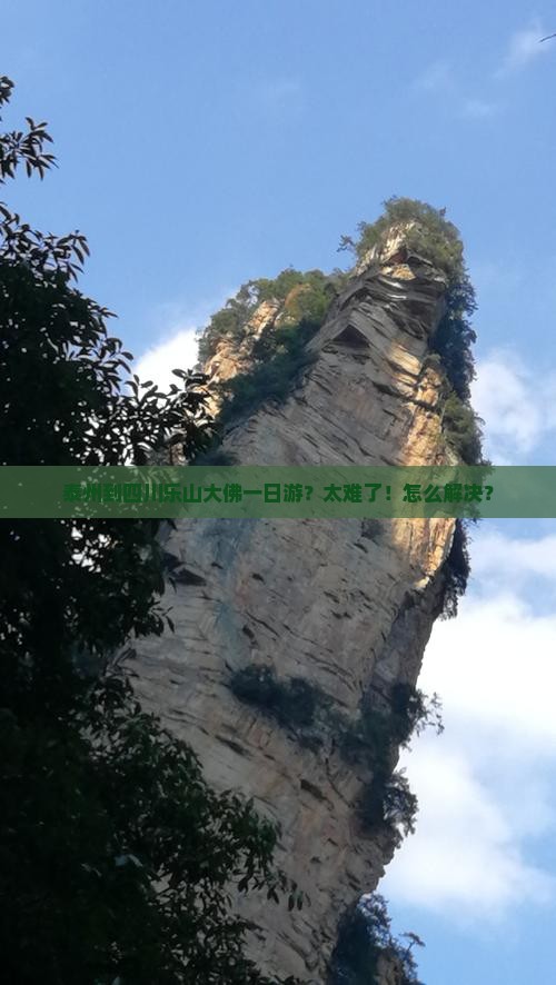 泰州到四川乐山大佛一日