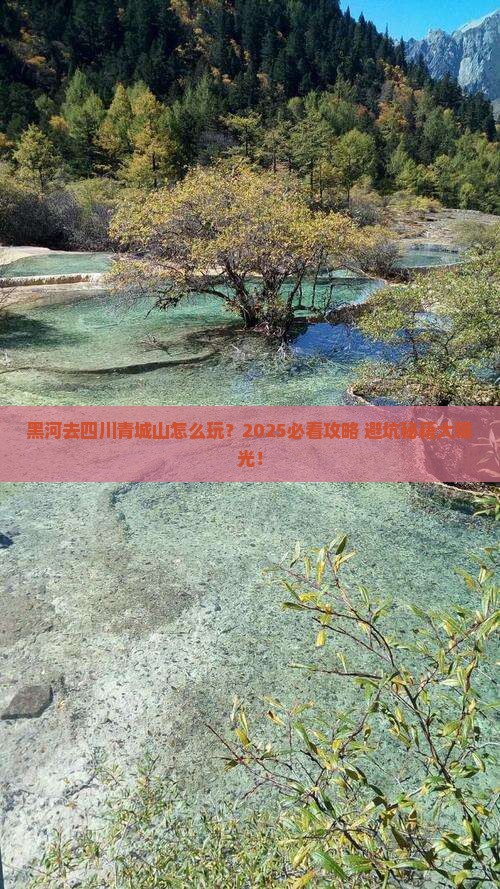 黑河去四川青城山哪里玩