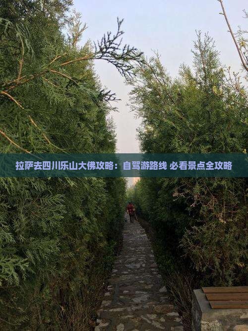 拉萨去四川乐山大佛攻略