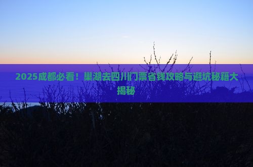 巢湖去四川成都门票