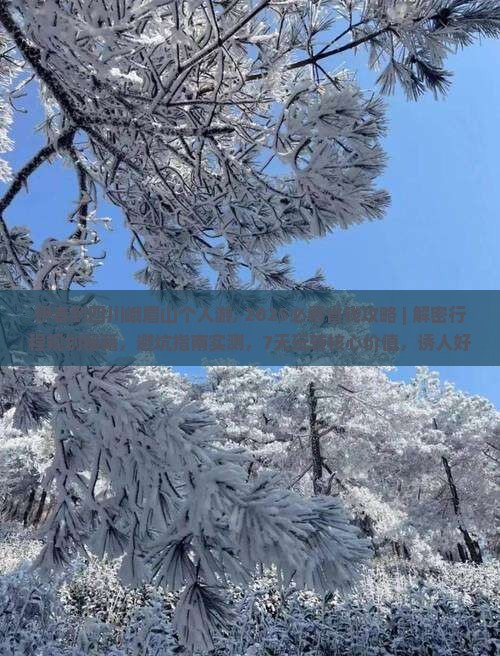 伊春到四川峨眉山个人游