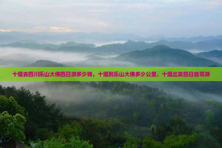 十堰去四川乐山大佛四日游