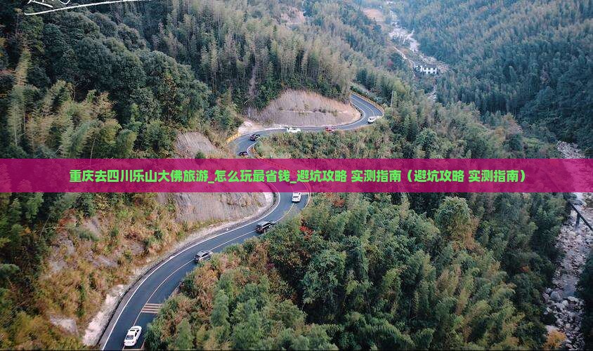 重庆去四川乐山大佛旅游