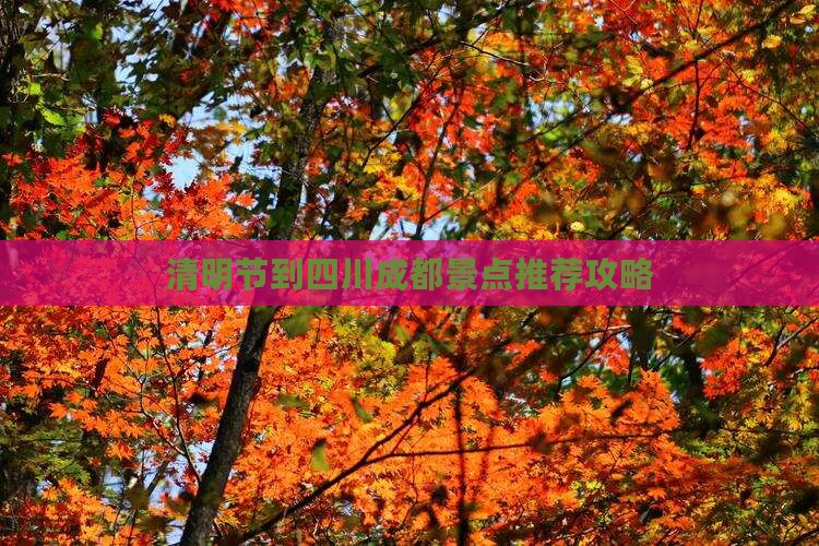 清明节到四川成都景点