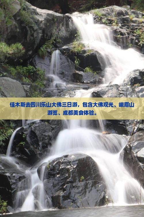 佳木斯去四川乐山大佛三日游