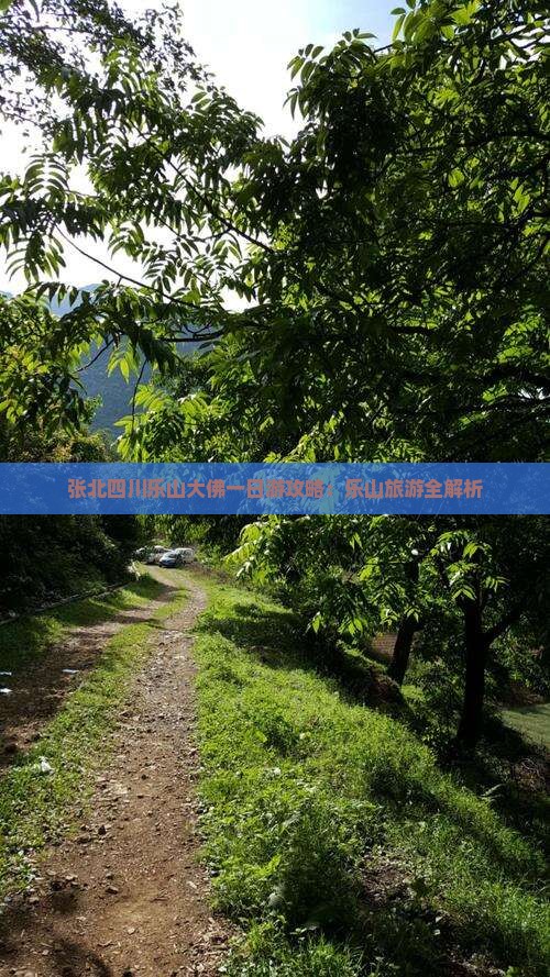 张北去四川乐山大佛一日