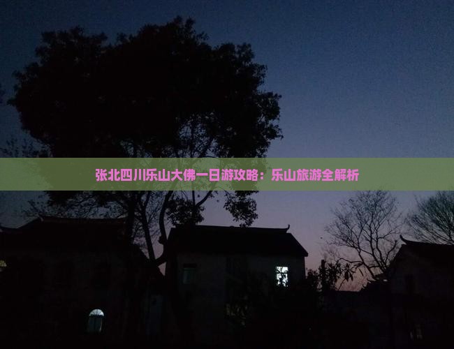 张北去四川乐山大佛一日