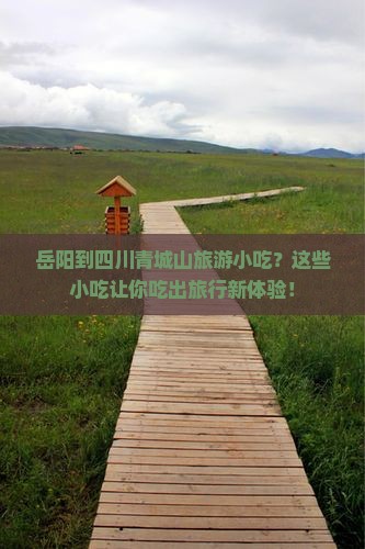 岳阳到四川青城山旅游小吃