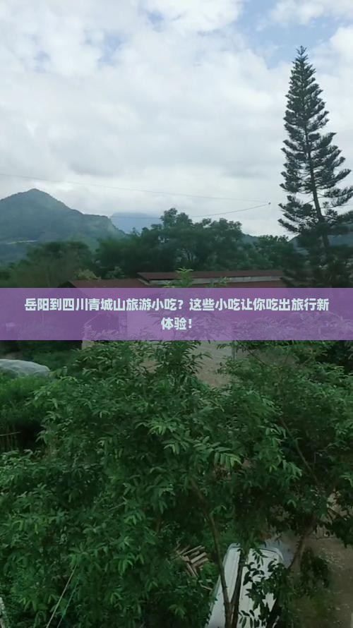 岳阳到四川青城山旅游小吃