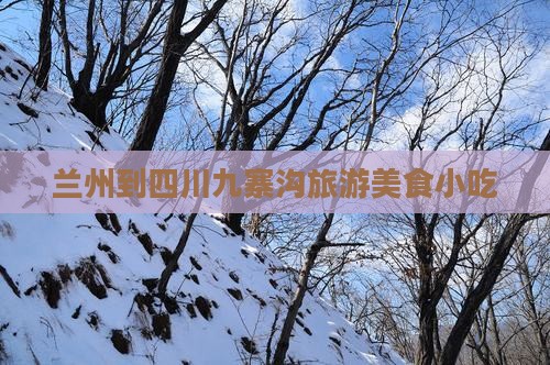 兰州到四川九寨沟旅游小吃