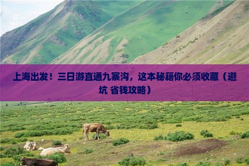 上海到四川九寨沟三日游