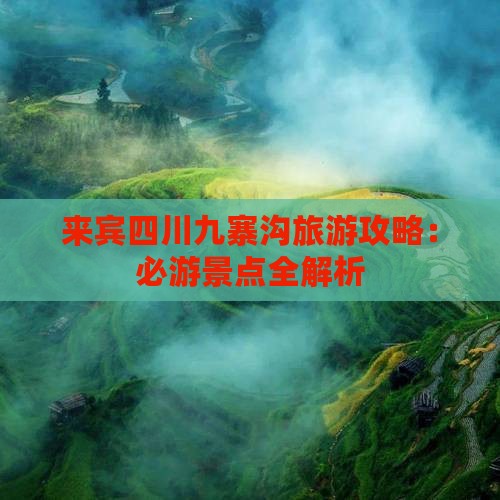 来宾去四川九寨沟景点