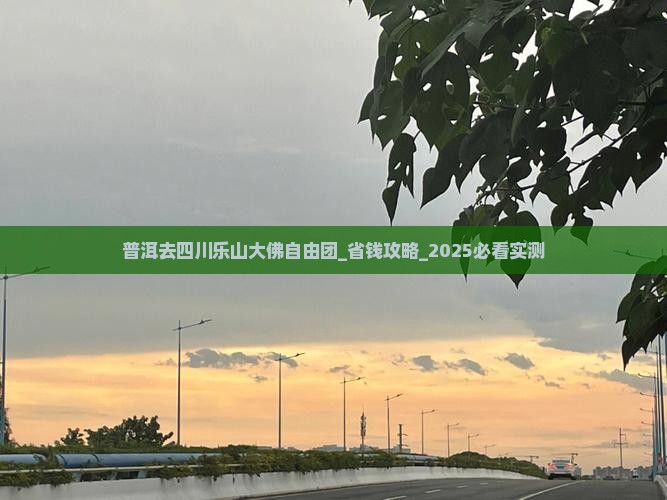 普洱去四川乐山大佛自由团