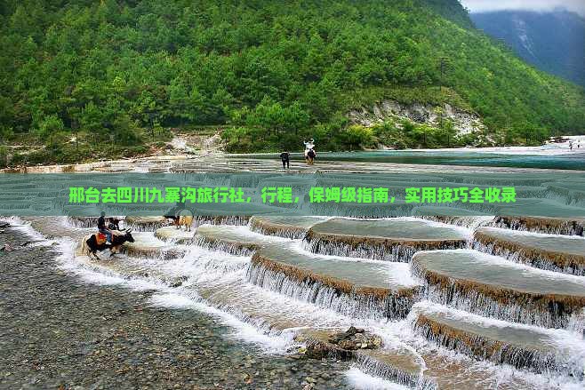 邢台去四川九寨沟旅行社