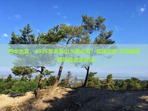 巴中去四川乐山大佛必去地