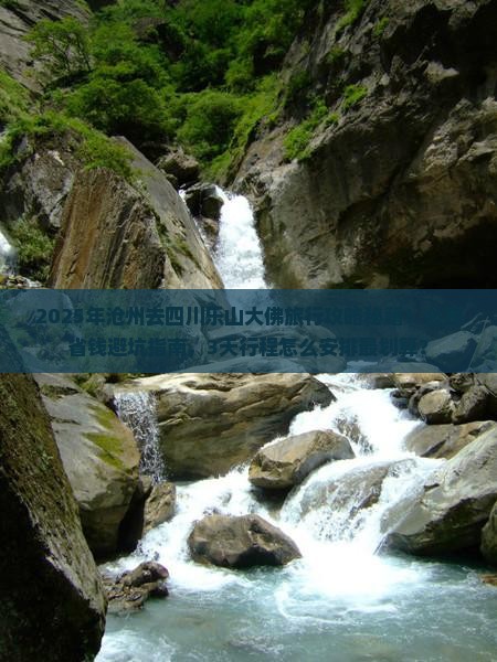 沧州去四川乐山大佛旅行社