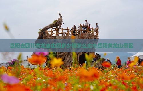 岳阳去四川黄龙自由团