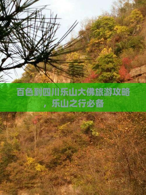 百色到四川乐山大佛攻略