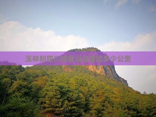 玉林到四川峨眉山自由团