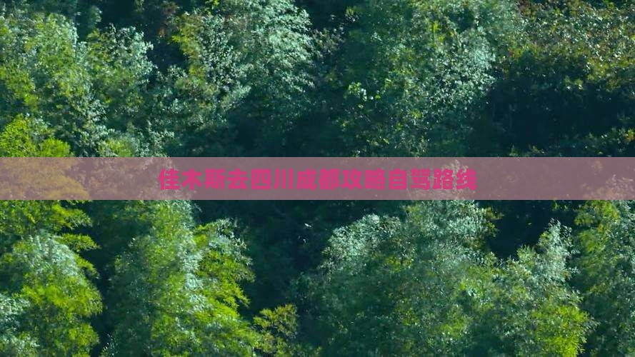佳木斯去四川成都攻略