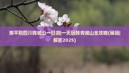 南平到四川青城山一日