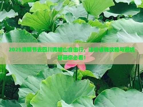 清明节去四川青城山自由行