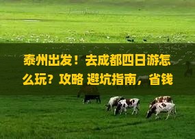 泰州到四川成都四日游