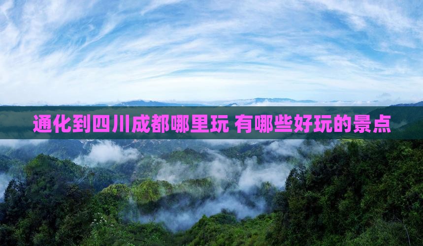 通化到四川成都哪里玩