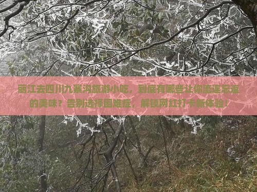 丽江去四川九寨沟旅游小吃