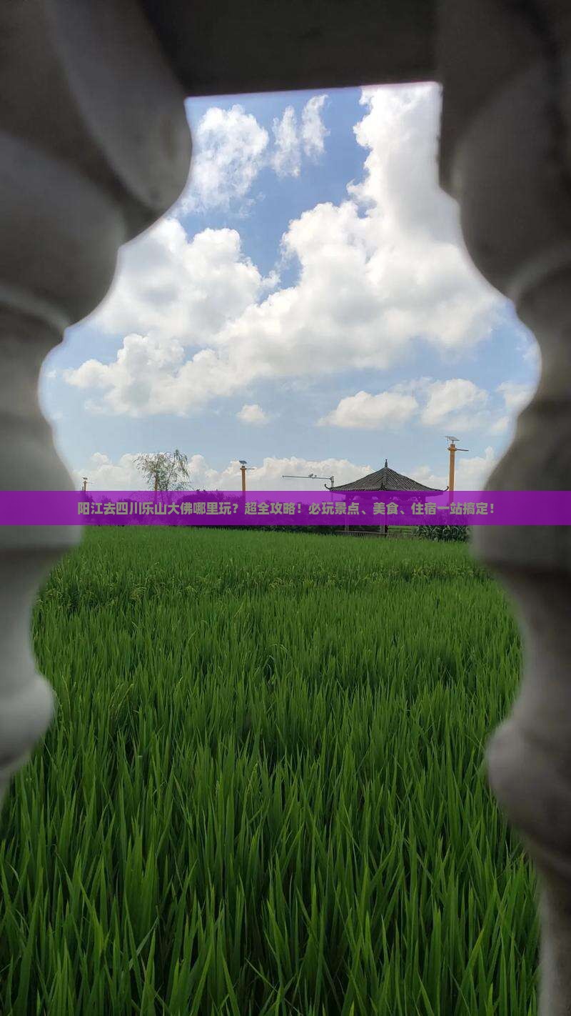 阳江去四川乐山大佛哪里玩