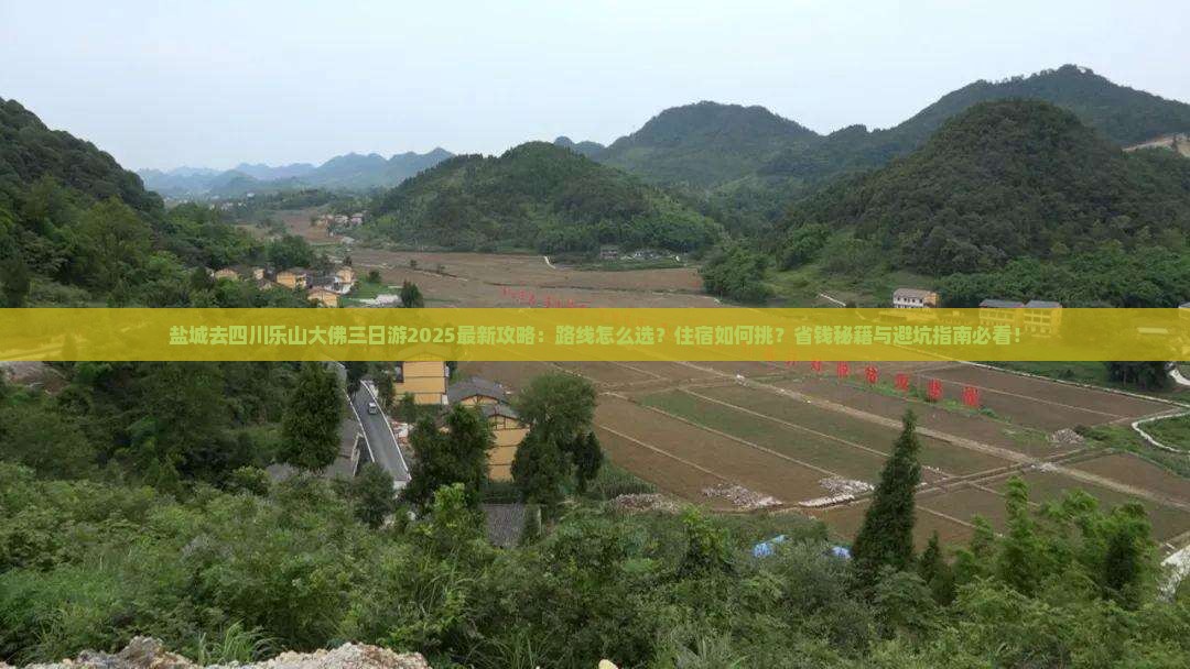 盐城去四川乐山大佛三日游