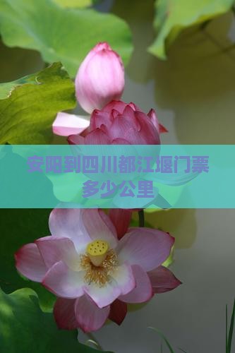 安阳到四川都江堰门票