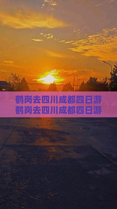 鹤岗去四川成都四日游