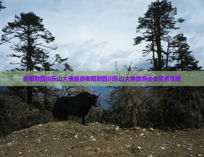 衡阳到四川乐山大佛旅游
