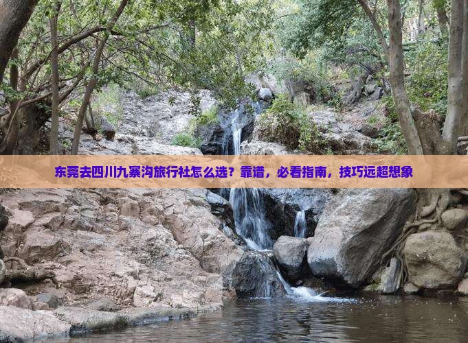 东莞去四川九寨沟旅行社