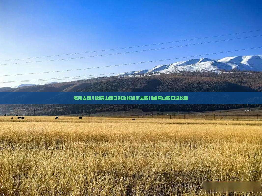 海南去四川峨眉山四日游