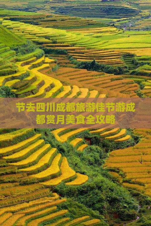 中秋节去四川成都旅游