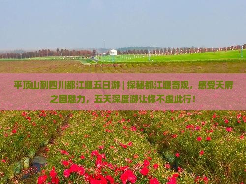 平顶山到四川都江堰五日游